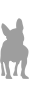 Baltazare logo